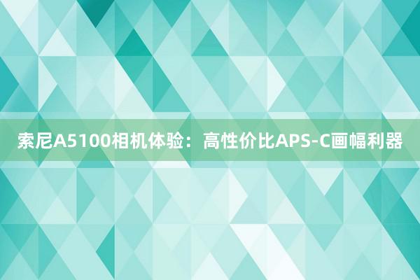 索尼A5100相机体验：高性价比APS-C画幅利器